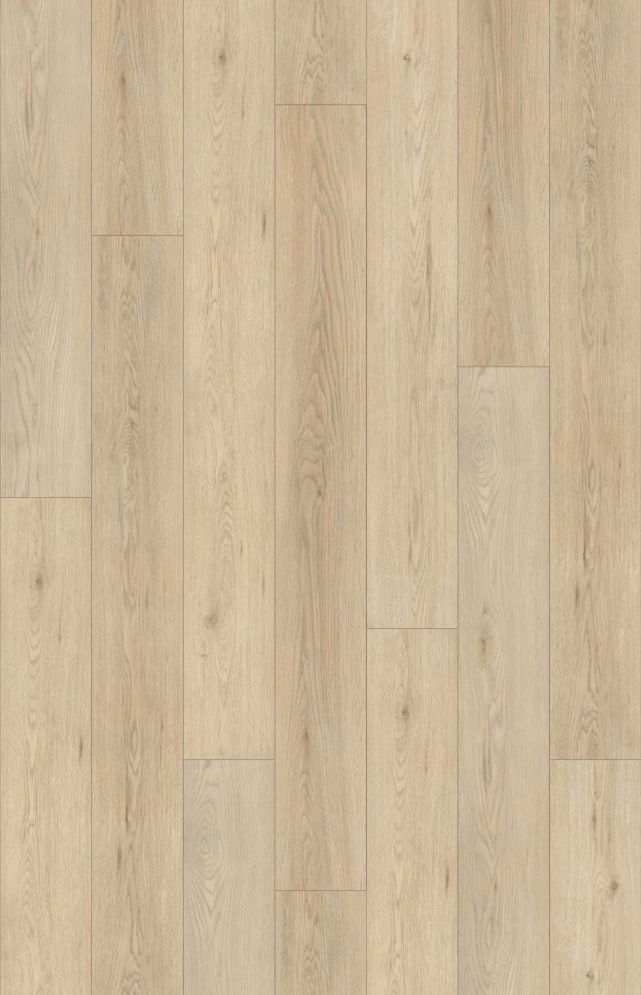 Excelsior Beige