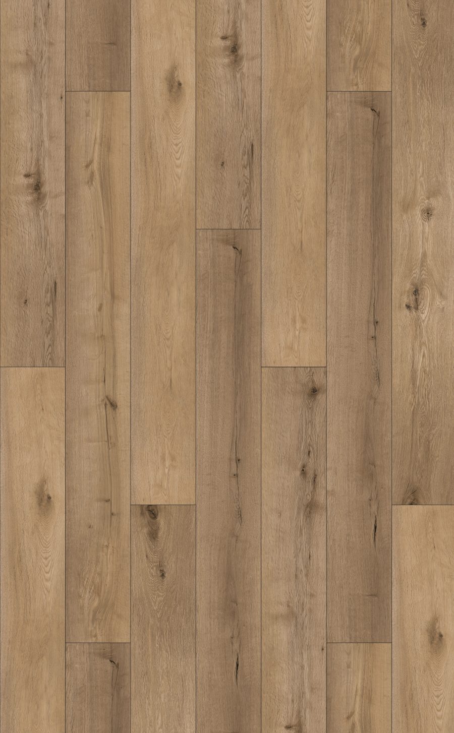 Kaschmir Sand Oak