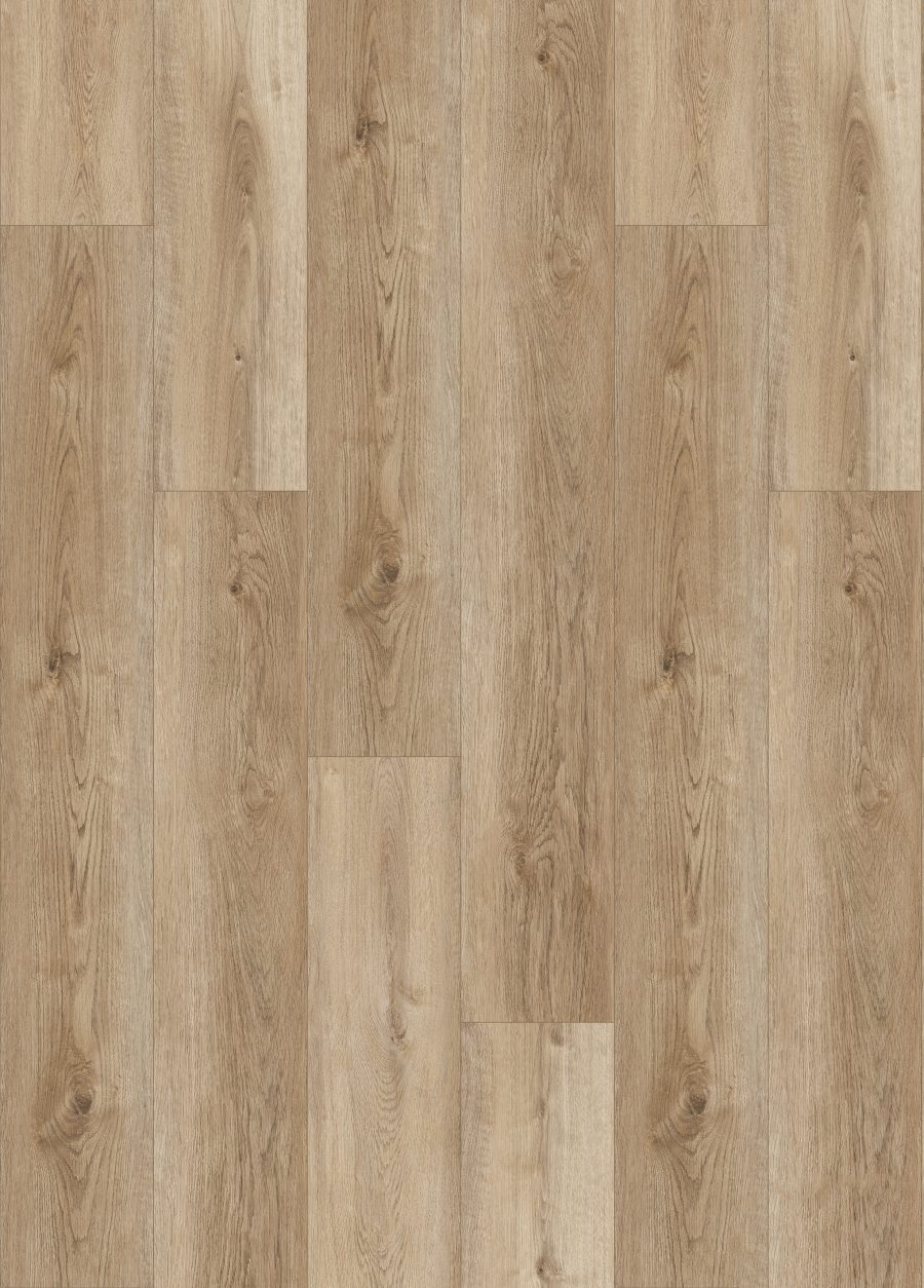 Gold Oak