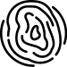 EIR
